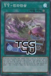 VV-진라만상 (DBTM-KR012) Super Rare 한글판 유희왕 : TCG포유