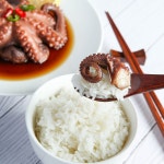 [명신수산] 여수 국내산 직접잡은 돌문어로 만든 문어장 (370g 180g) : 명신수산