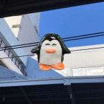 꼬마펭귄 인센스 홀더, 스테디너리 : 스테디너리