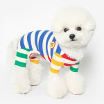 강아지 올인원 투스투스 컬러블럭 골지 애견 스트라이프 긴팔 바지 봄 가을 옷 실내복 : PICKYSHOP 피키샵