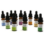 메디홀릭 아로마 블렌딩 오일 아로마테라피 디퓨저 차량용디퓨저 방향제 힐링 스트레스해소 : 빅센마켓