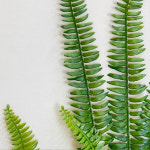 보스턴 고사리 바인 (H 90cm) : 플레르데코