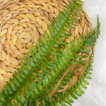 보스턴 고사리 바인 (H 90cm) : 플레르데코