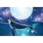 바다친구 일러스트 D8 현수막 바다생물 바다속 고래 인어공주 포토존 어린이집 유치원 : 디자인유앤미