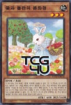 꽃과들판의봄화정 (POTE-KR018) Nomal 한글판 유희왕 : TCG포유