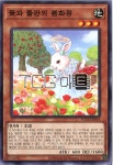 꽃과들판의봄화정 (POTE-KR018) Normal 한글판 유희왕 : TCG마트