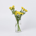 꾸까 금수 국화 반단 제철꽃 생화 꽃배달 꽃시장 농장꽃 산지직송 생화배달 : KUKKA