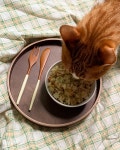 강아지자연식 닭안심 1kg 대용량 소분선택포장 고양이 노령견 화식 나니스펫푸드 : 나니스펫푸드 애견수제간식