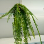 [송트리SONGTREE] 싱그러운 보스턴 고사리 바인, 인테리어 소품, 리얼한 부쉬 조화 : 송트리 SONG TREE
