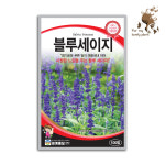 블루세이지 100립 세계종묘 화훼류 씨앗 허브 : GUMOK
