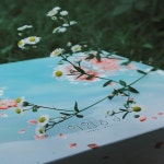 이언농장 마도카(선물용) : 이언농장