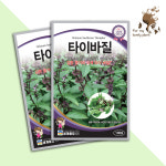 타이바질 100립 세계종묘 잎채류 허브 씨앗 : GUMOK