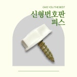 신형번호판피스 100개 : 우주카스토어