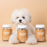 펫케어유니온 스트롱하트 강아지 영양제 심장 호흡 반려견 건강 : 팻케어유니온