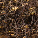 국내산 건고사리 100g 50g 말린고사리 보름나물 국산고사리 부드러운 건나물 : 나물투데이