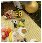 해수욕장돗자리 피크닉매트 체크 방수돗자리( 150x200cm) 피크닉 감성캠핑 : 레이니 영