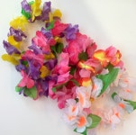 바캉스꽃목걸이 강아지목걸이 수영복 물놀이패션 악세사리 소형견 : 그로서리메리그린