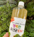 마시는 em 식용 이엠 6통 유정룡효소과학 : 행복한도가수