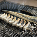 고창 풍천 민물장어 1kg 자포니카 손질장어 선물세트 : 룰루네상점