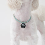 ALWAYS WITH 강아지 가죽 목걸이 인식표 써지컬스틸 원형 실버 S18고딕 : 1013프로젝트