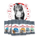 로얄캐닌 헤어볼케어 4kg 대용량 고양이 사료 : 신묘한냥이