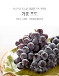 김천 거봉 포도 제철 1kg 2kg 가정용 선물용 : 은서네식탁