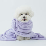 더휴 국산 강아지 펫타올 목욕 고양이 애견 수건 중형 M : 824마트