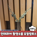 유칼립투스 조화 A 한줄기 인조 인테리어 데코 나뭇잎 잎사귀 촬영소품 그린 장식 가짜 : 쇼피디아