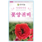 봄꽃씨앗 꽃양귀비 야생화 모종 키우기 텃밭씨앗 : 더피움