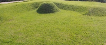 한국 잔디뗏장 40/60/4cm (가로 세로 두께) 10장 정원 산소 공원용 낮은키 : 광림아그로