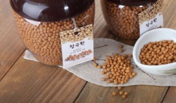 국산 청국장 분말 환 청국환 500g : 하기마켓