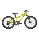 SCOTT SCALE 20 YELLOW [스캇 스케일 20 옐로우] : 필샵 PhilShop