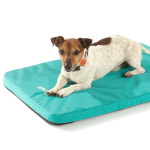 벤트라 바리켄넬용 메모리폼 매트리스 350 그린 : 벤트라