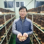 곡성 특산물 무농약 참송이버섯 알뜰형 500g (농장직송) : 송화버섯 옥과농원몰
