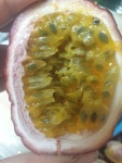 경북 군위 백향과 / 패션후르츠 생과 1kg : 청화산골뫼농원백향과