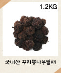 [국내산] 꾸지뽕나무열매 1.2KG 꾸지뽕 : 성보식품