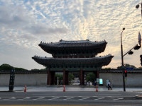 창경야행 창경궁 야경투어 : 유진투어