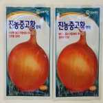 천주황양파 진농중고황 양파 씨 씨앗 종자 3000립 : 모두다팜 농자재