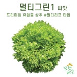 유럽상추 멀티그린1 100립 멀티리프 타입 : 모든씨앗