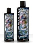 리프 포타시온 Potassion 250ml : 씨렉스공방