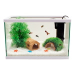 구피하우스세트 40 유리 어항 수족관 : 아마존피쉬앤플랜츠