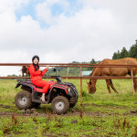 제주 오름ATV / 제주도 승마체험 액티비티 이색관광지 : WEPICK