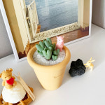 느린토끼 축전 하트다육이 특이한식물 마티아스 수제토분 미니 : 느린토끼