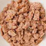 알모네이쳐 고양이 습식파우치 대서양참치 55g : 의기냥냥