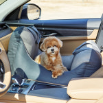 바비숑카시트 시즌3 | 투톤차콜레더 : 메이플펫