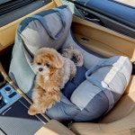 바비숑카시트 시즌3 | 투톤차콜레더 : 메이플펫