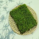 서리이끼 양지이끼 조경 원예 테라리움 비바리움 석부작 재료 한팩(18cm x 14cm) : 미니분경