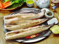 통영 자연산 최상급 바다장어 1kg 손질후750g : 통영돌고래수산