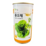 유럽상추 대용량 5000립 큐오레 버터헤드 로메인 상추 종자 팜한농 : 농사마트