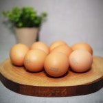 [난각1번] 자연방사 동물복지인증 무항생제 유정란 40구/20구/초란 - 오탄농장 : 양지마을오탄농장